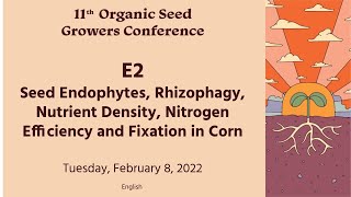E2 | Seed Endophytes, Rhizophagy, Nutrient Density, Nitrogen Efficiency and Fixation in Corn
