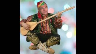 Ben Seni Bir Türlü Unutamadim