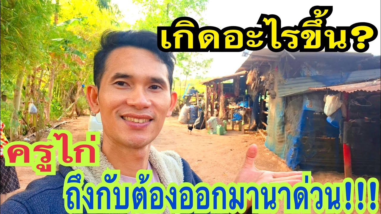 เกิดอะไรขึ้น? ทำไมครูไก่ถึงต้องรีบออกไปนาด่วน!!! #ครูไก่เพชรบ้านแพง #สาวน้อยเพชรบ้านแพง