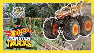 Monster Truck Araçlarinin Arabalar İle Karşilaşmasi Monster Trucks 