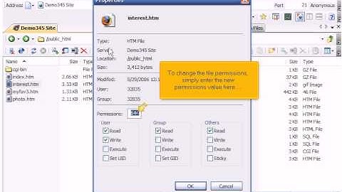 Managing files-folders in SmartFTP.avi