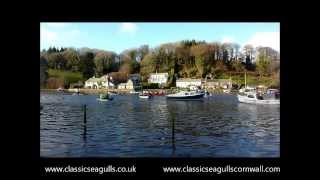 Lerryn Seagull Race 2013