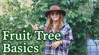 How to Water & Maintain Fruit Frees in Zones 9 and 10
