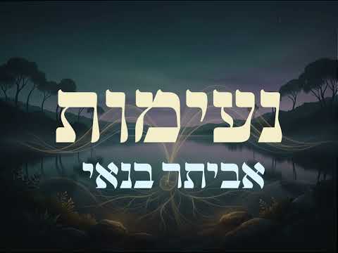 אביתר בנאי – נעימות ללא מילים