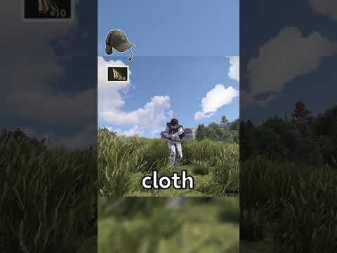 Best Rust Twitch