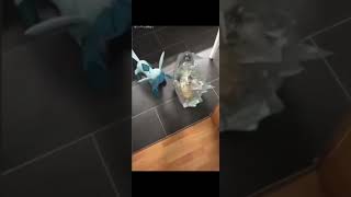 Glaceon Pokémon And Cat