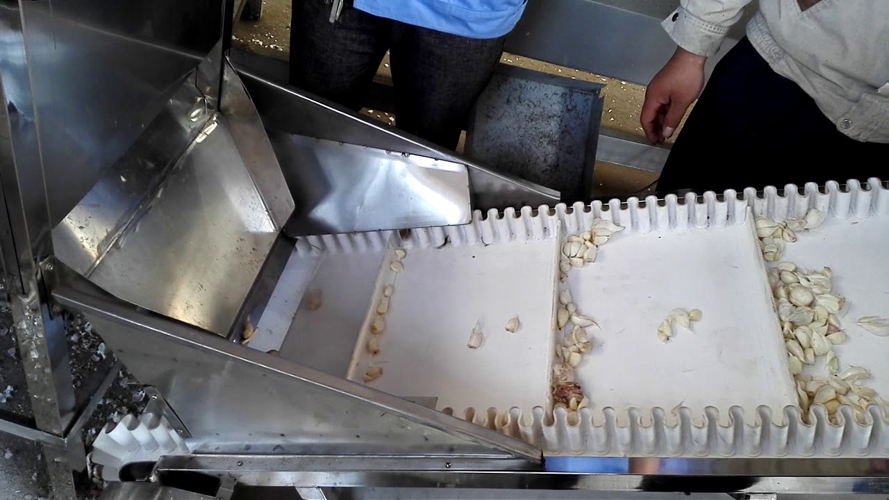 wet fresh garlic clove separator machine garlic separating machine breaking machine