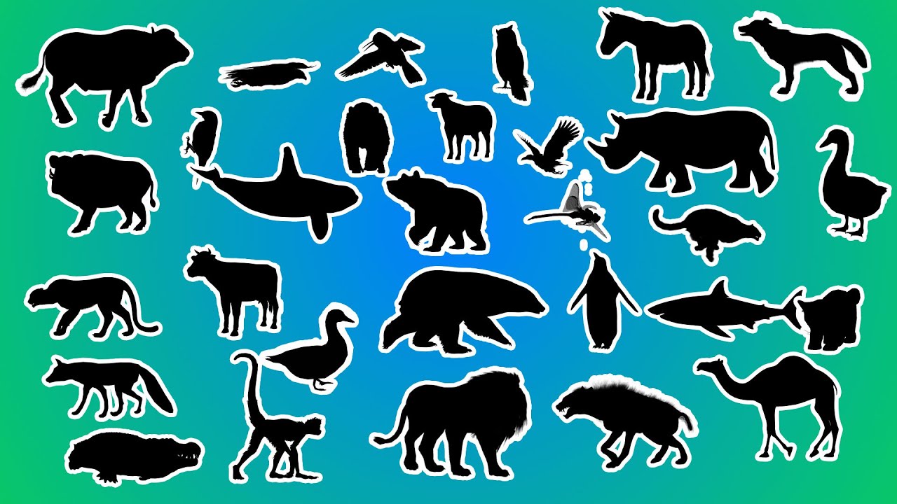 🐕🦓 A Sombra Misteriosa! Qual Animal é Esse? 😲