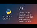 Python programming  executing sql queries with bind variables from python script