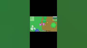 Pigs 1v1 in wildmope