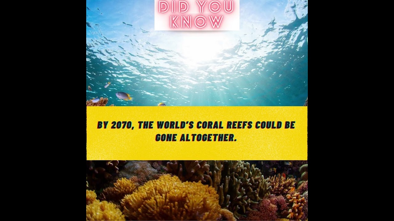 Did you know about environment?