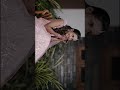 "Dressed up my cousin with pure love and zero tension. How is the look? 🤍" cute bride : sneha🥰