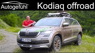 Skoda Kodiaq Scout FULL OFFROAD REVIEW 2019 @ Skoda Euro Trek - Autogefühl screenshot 3