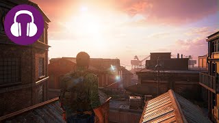 Post Apocalyptic Peace  💤 THE LAST OF US PART I Ambience | Wind Sounds &amp; Sunset Scene