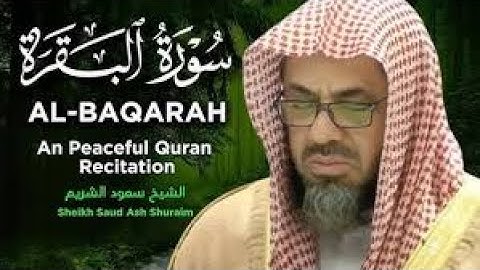 سورة البقرة كاملة - الشيخ سعود الشريم بدون إعلانات