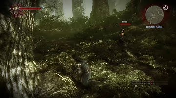 The Witcher 2 Iorveth vs Roche No Damage (Dark)