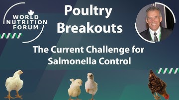 WNF 2016 Poultry Breakouts: 05 The Current Challenge for Salmonella Control