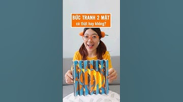 Bức tranh 2 MẶT? #Leeciehayhoi #short