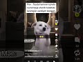 😂😂😂😂