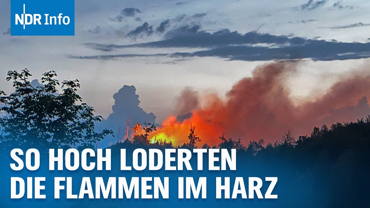 Waldbrand im Harz: Wind erschwert Löscharbeiten der Feuerwehr - Brandursache unklar | NDR Info