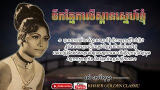 Miniatura de vídeo de "ទឹកភ្នែកលើស្ពានស្នេហ៍ខ្ញុំ Teuk Phnek Ler Spean Snae Knhom -- Ros Sereysothea"