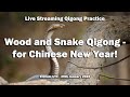 Wood and Snake Qigong - for Chinese New Year! Live Streaming Qigong Practice Session