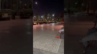 İstanbul Pendik Sahil