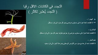 التكاثر اللاجنسى - التجدد والتكاثر بالجراثيم - احياء الصف الثالث الثانوى