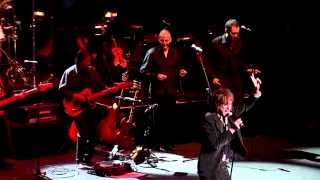 The White Album Concert - Everybody's Got Something to Hide performed by Tim Rogers