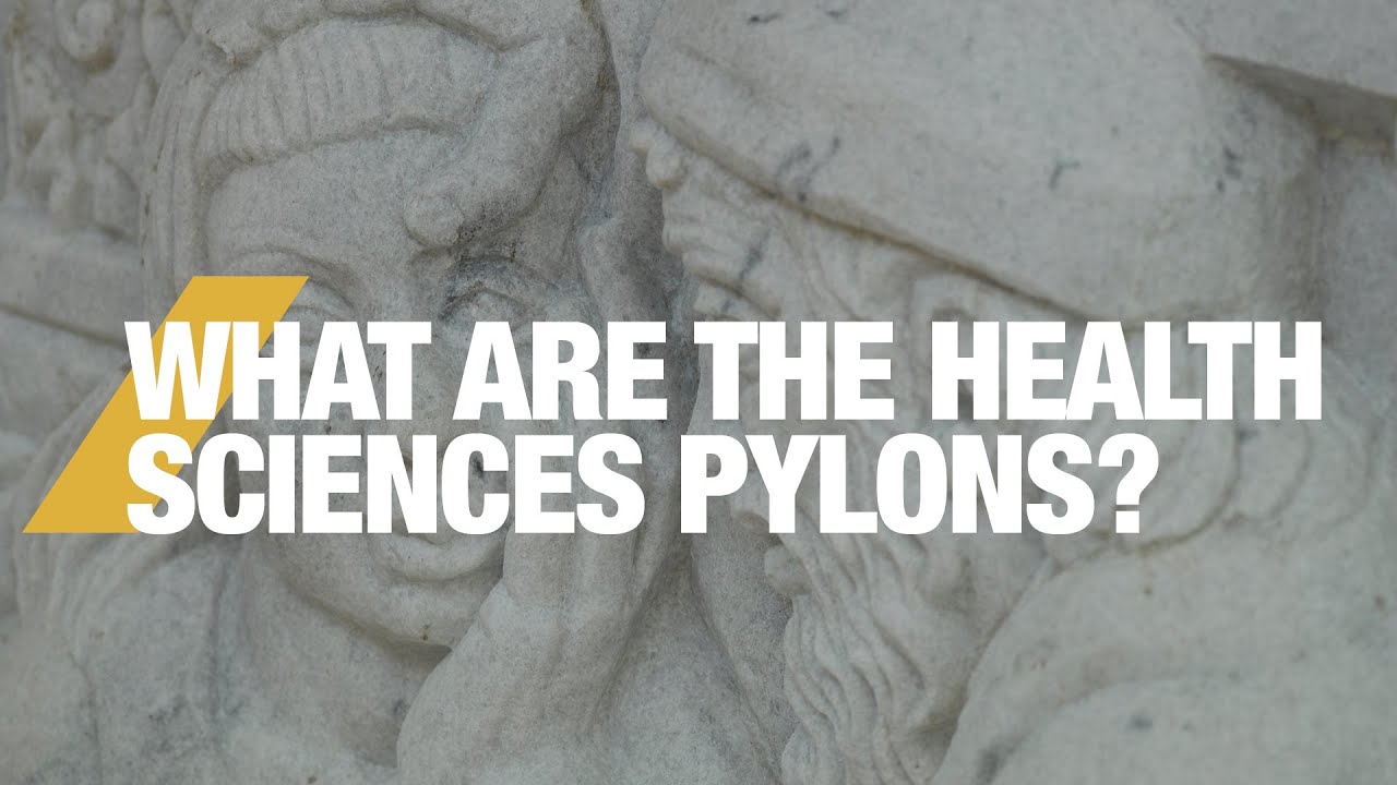 WVU Health Sciences What are the Pylons? YouTube