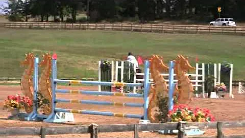 Video of KASSIUS ridden by MICHELLE NOLAND HOUPT f...