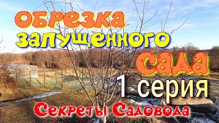 Правильная Осенняя ПОДРЕЗКА Заброшенного Сада. 1 Серия. Секреты САДОВОДА.