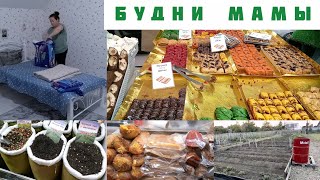 картинка: БУДНИ МАМЫ👩‍🍳СХОДИЛИ НА ЯРМАРКУ🥩УБИРАЮ ОГОРОД