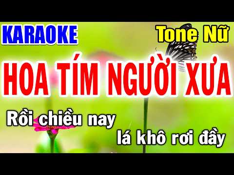 HOA TÍM NGƯỜI XƯA Tone Nữ Nhạc Sống Dũng Trần Karaoke