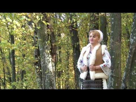 Sanda Argint-Am plecat de acasă de mititea (Official Video) NOU