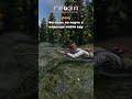 Заходи на сервер GROZA DAYZ:https://taplink.cc/grozadayz #dayz  #dayzclips #dayzstandalone  #shorts