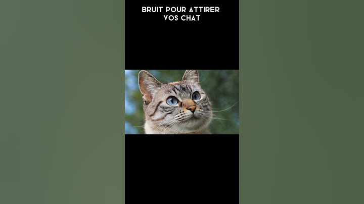 bruit pour attirer vos chat:)))