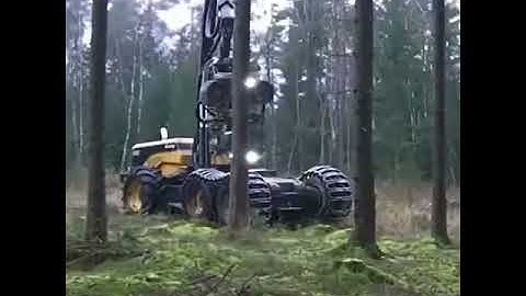 Tree terminator