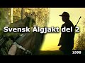 Svensk Älgjakt del 2 (Swedish moose hunting part 2)