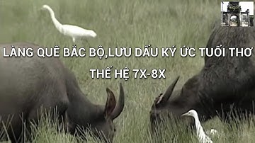 Làng quê Bắc Bộ,lưu dấu ký ức tuổi thơ (Thế hệ 7x, 8x)
