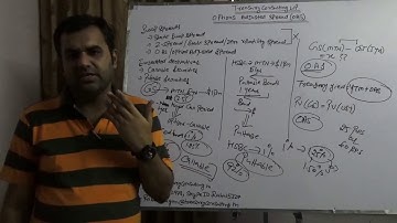 Fixed Income Derivatives - Options Adjusted Spread (OAS)