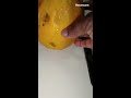 DELICIOUS PAPAYA