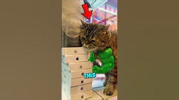 This Cat OUTSMARTS The Claw Machine 😺🎮 #shorts
