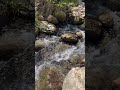A place that brings me joy. #Clarendon #jamaica #joy #vacation #peace #love #sunshine #river #fun
