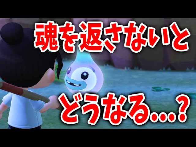 【あつ森】ゆうたろうに遭遇！魂を「返さない」と何回も選択すると...？ 【あつまれどうぶつの森】【実況/くるみ/しゃちくるみ/しゃちく/シュガートース島/ウホウホ島/アップデート】