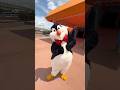 🐧 Il m’a littéralement couru dans les bras 🥹