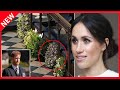 ✅  Meghan Markle indiscrète : Buckingham s'agace