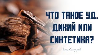 Что такое Уд (OUD) дикий, плантационный, синтетический?