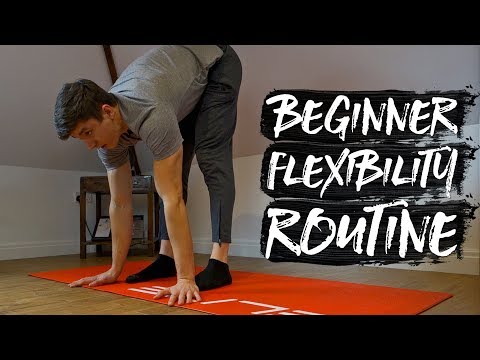 15 Minute Beginner Flexibility Routine! (FOLLOW ALONG)