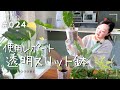 【透明スリット鉢】使用して5ヶ月経過…その後の感想(Vlog/024)